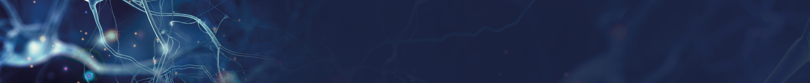 Banner con immagine di un nervo su sfondo blu.